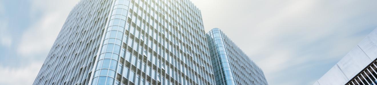 Consectetur Adipiscing Elit Nulla Vulputate